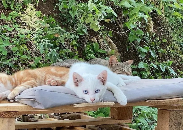 Dimore Montane Roccamorice